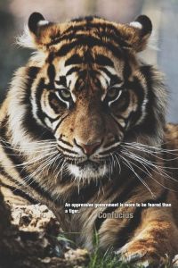 969aa-anoppressivegovernmentismoretobefearedthanatiger