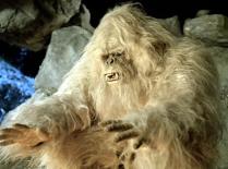Abominable snowman yeti