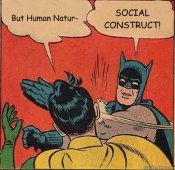 batman social construct