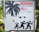 Beware Falling Coconuts sign
