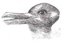 Duck-Rabbit