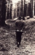 Heidegger walking in the woods