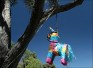 Piñata Hanging in a tree