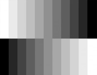 shades of grey duality