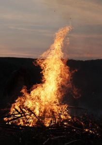 Shamanic Fire Mongolia