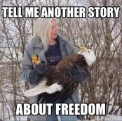 tell me another story about freedom bald eagle