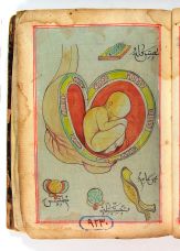 turkish-ottoman-baby-in-womb