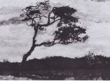 Van Gogh Tree Whipped by the Wind
