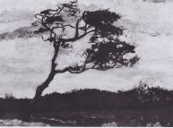 Van Gogh Tree Whipped by the Wind