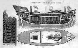 Walsh-cross-section-of-slave-ship-1830