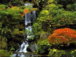 Zen Waterfall