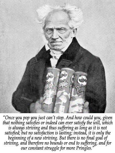 Schopenhauer Can't Stop