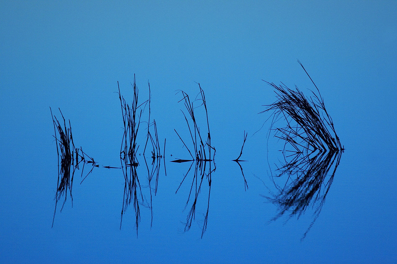 blue lake reflection