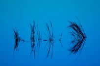 blue lake reflection