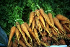 carrots in bundles
