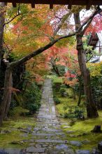 zen temple path